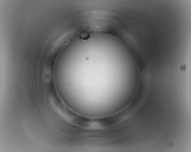 X0000114640741200910201442
