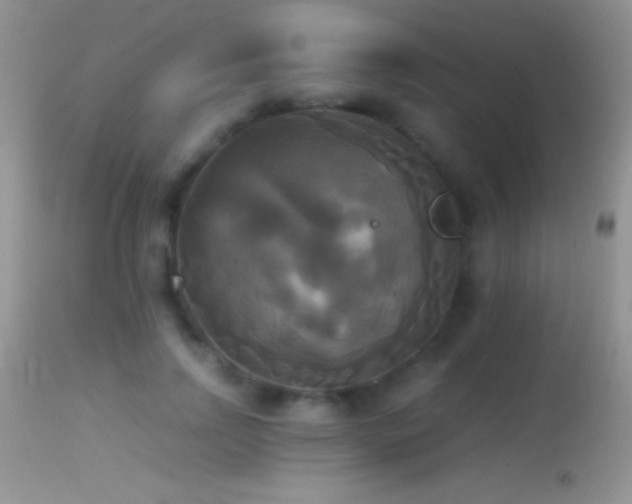 X0000114640742200910201442