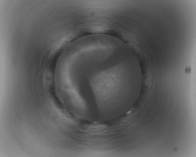 X0000114640743200910201442