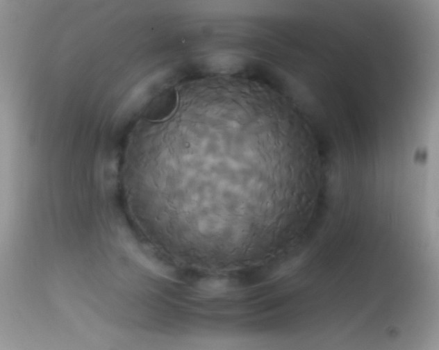 X0000114640745200910201442