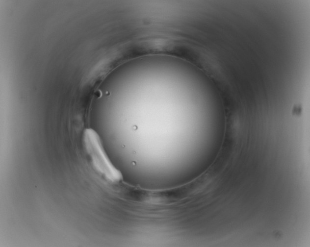 X0000114640746200910201442