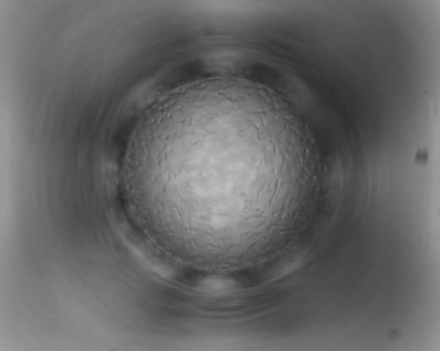 X0000114640749200910201442