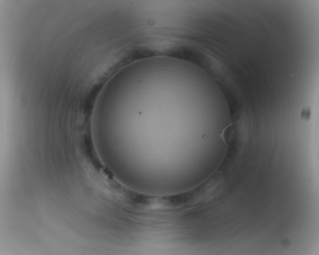 X0000114640750200910201442