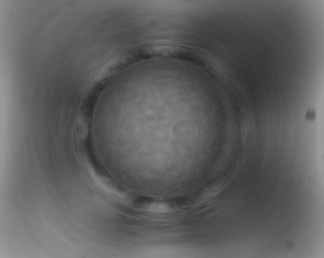X0000114640751200910201442
