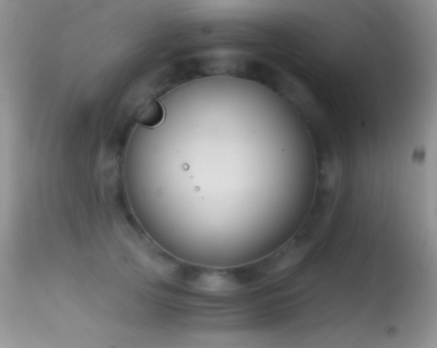 X0000114640753200910201442