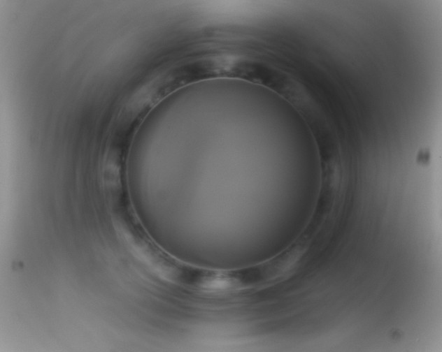 X0000114640754200910201442