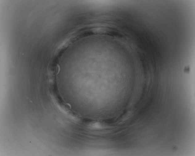 X0000114640755200910201442