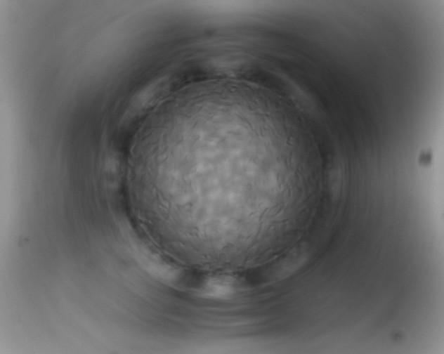 X0000114640757200910201442
