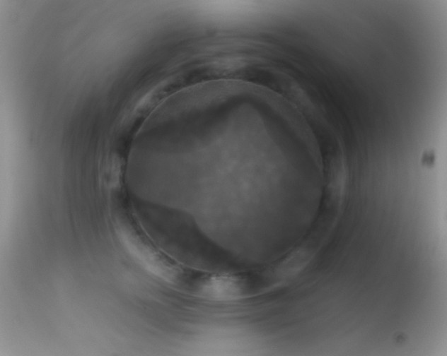 X0000114640758200910201442
