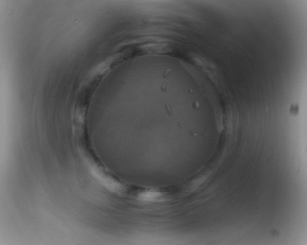 X0000114640759200910201442