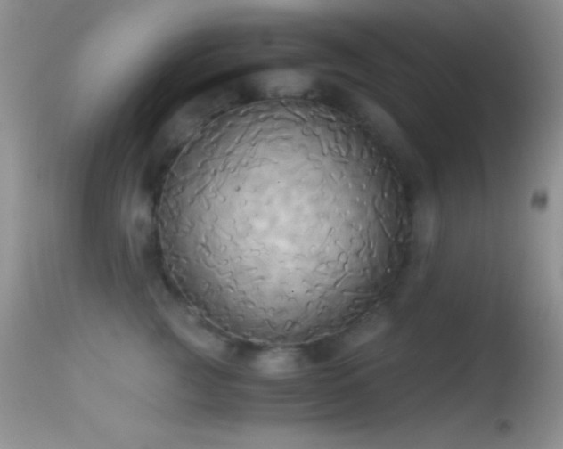 X0000114640761200910201442