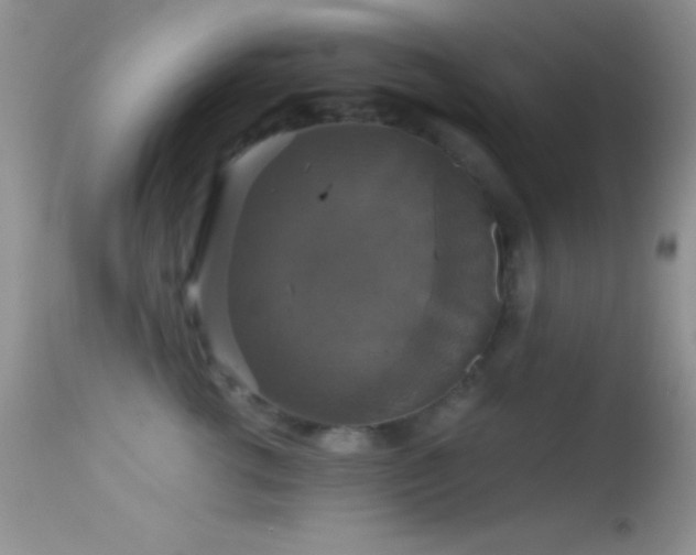 X0000114640762200910201442