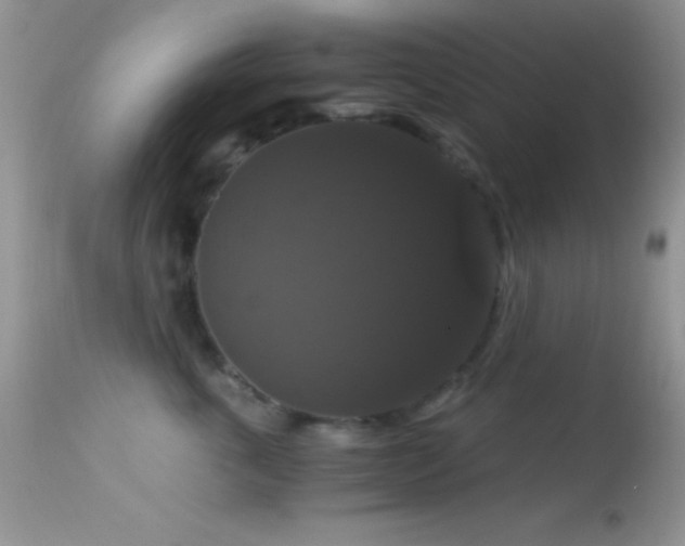 X0000114640763200910201442