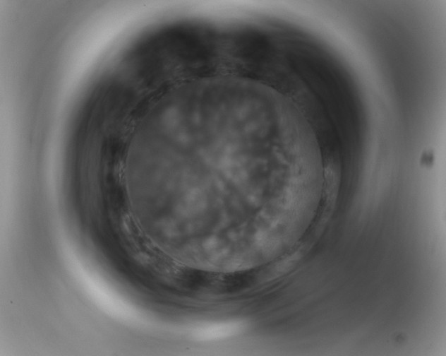 X0000114640765200910201442