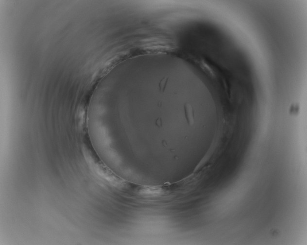 X0000114640767200910201442