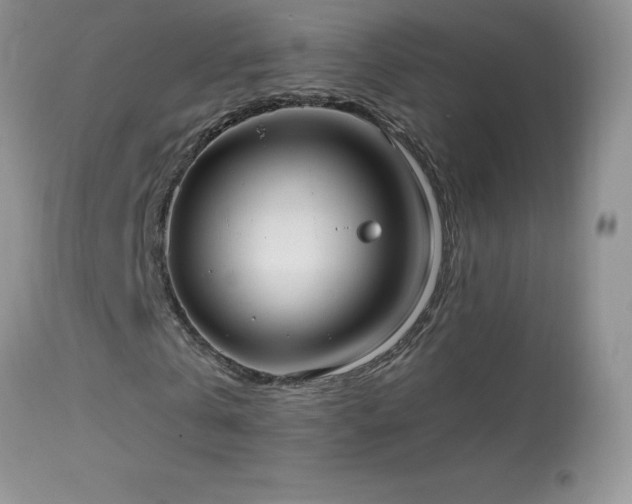 X0000114640769200910201442