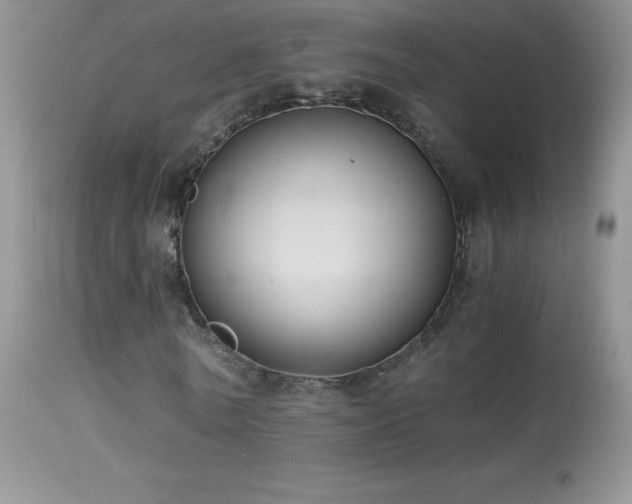 X0000114640770200910201442