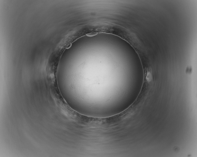 X0000114640771200910201442