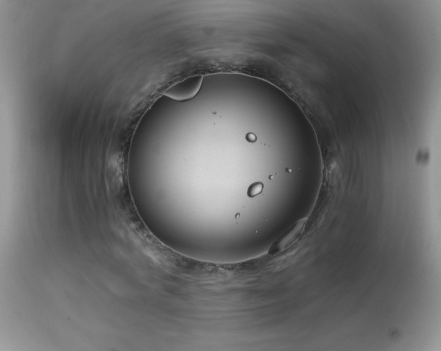 X0000114640772200910201442