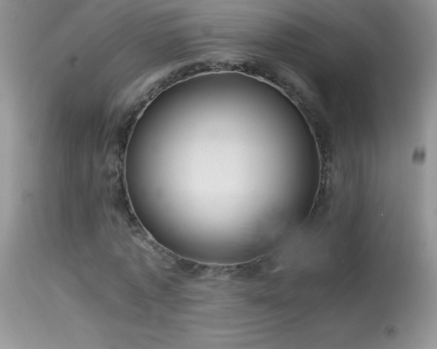 X0000114640773200910201442