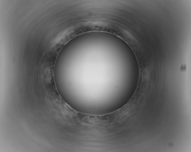 X0000114640774200910201442