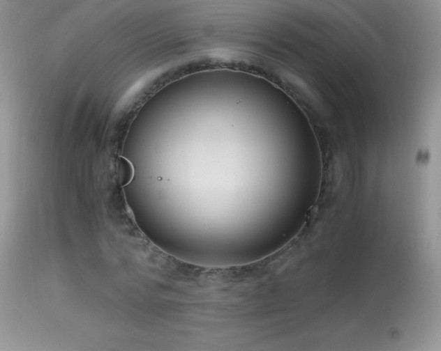 X0000114640776200910201442