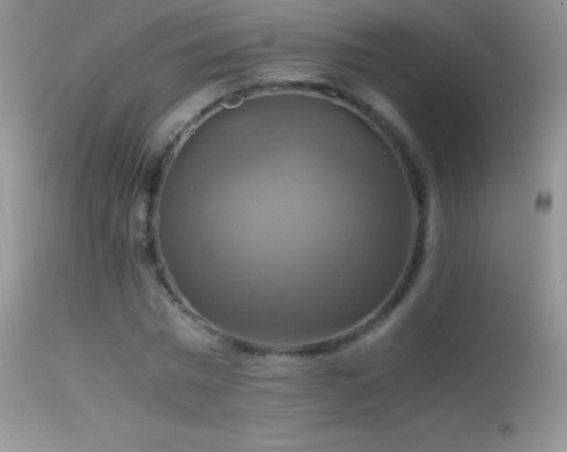 X0000114640777200910201442