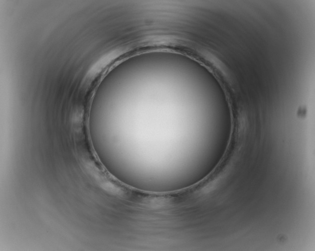 X0000114640778200910201442