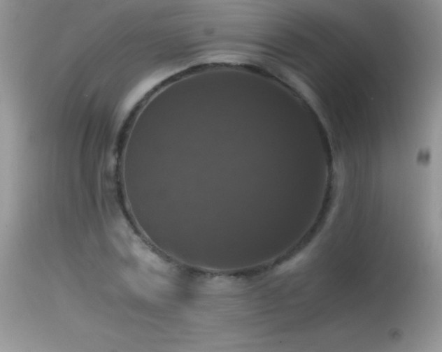 X0000114640779200910201442