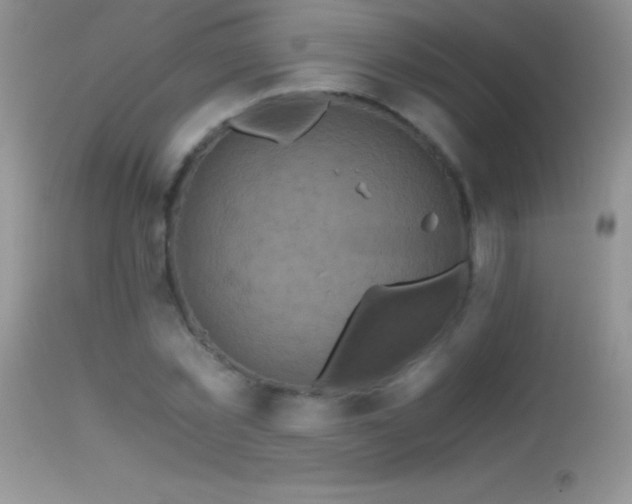 X0000114640781200910201442