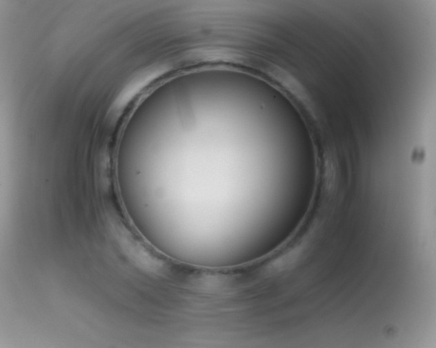 X0000114640782200910201442