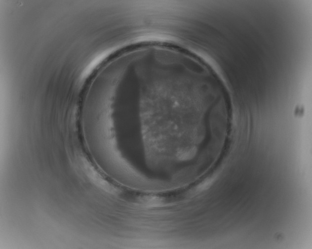 X0000114640783200910201442