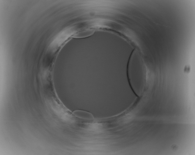 X0000114640785200910201442