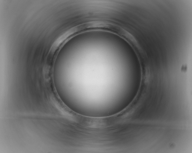 X0000114640786200910201442