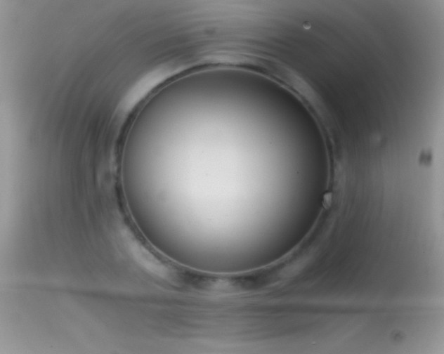 X0000114640787200910201442