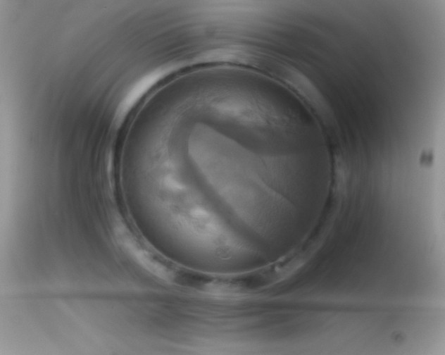 X0000114640788200910201442