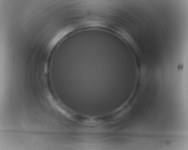 X0000114640790200910201441