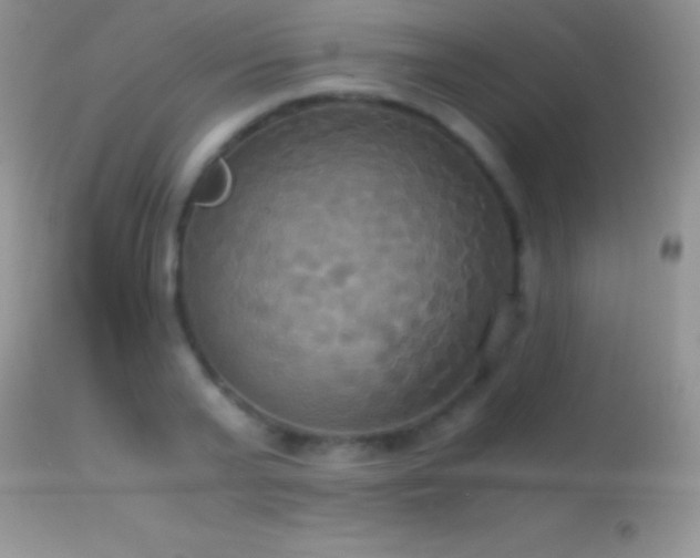 X0000114640791200910201441