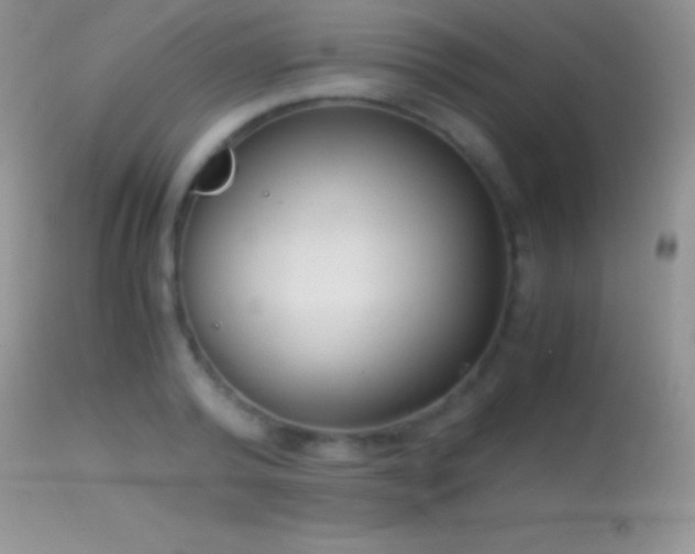 X0000114640792200910201441