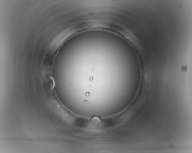 X0000114640793200910201441