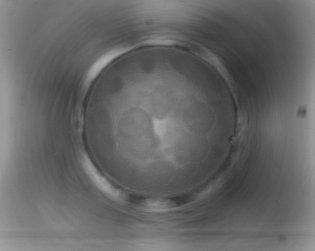 X0000114640795200910201441