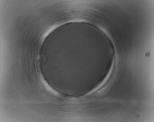 X0000114640797200910201441