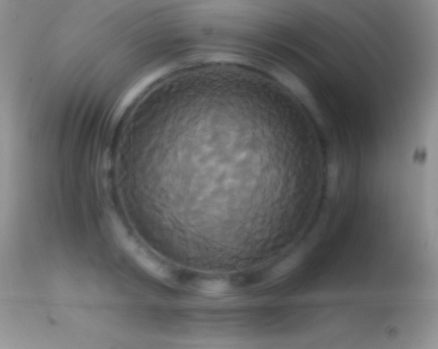 X0000114640798200910201441