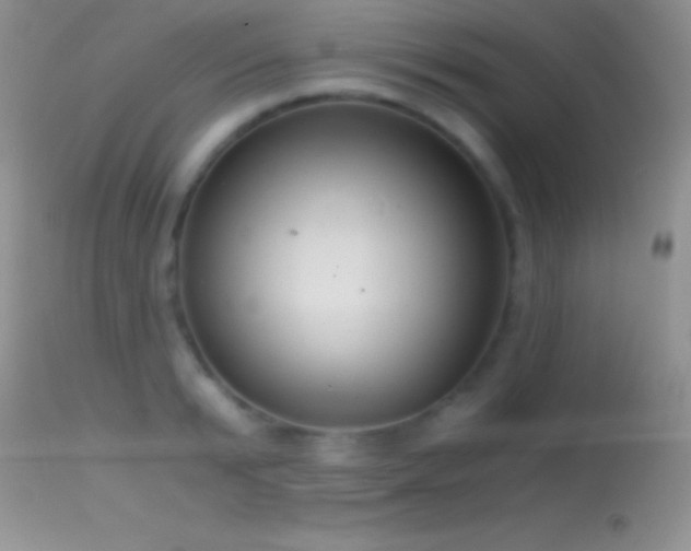 X0000114640799200910201441
