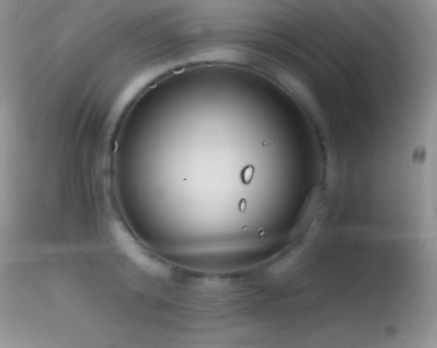 X0000114640800200910201441