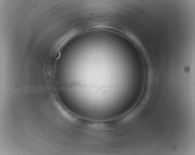 X0000114640801200910201441