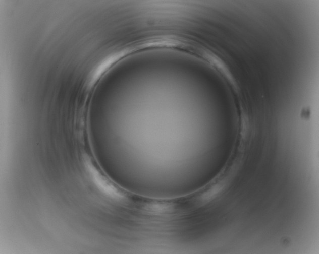 X0000114640802200910201441