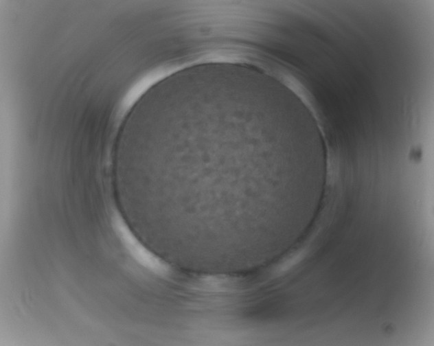 X0000114640803200910201441