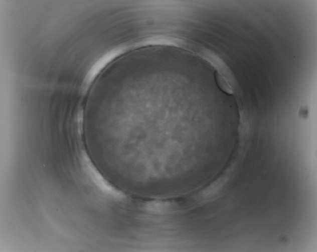 X0000114640804200910201441