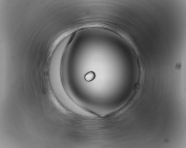 X0000114640805200910201441